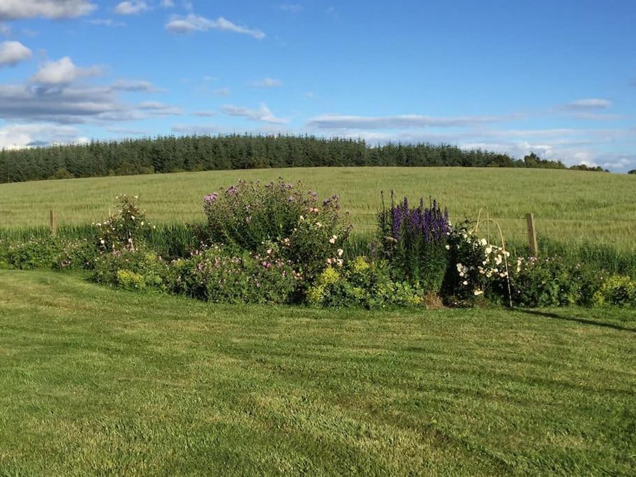 Blackhill Farm Cottage Перт Экстерьер фото